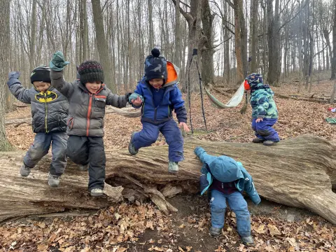 Children exploring outdoors in a forest setting, surrounded by trees and lush greenery.
