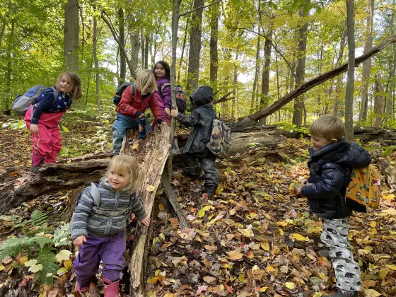 Children playing outdoors, surrounded by trees and natural elements.